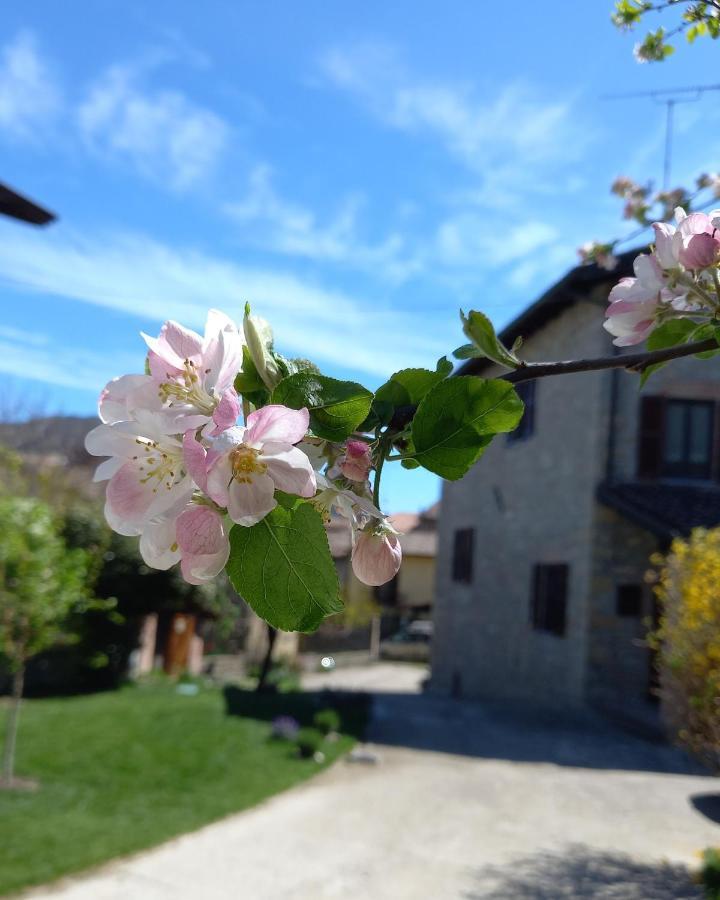 La Pomella Villa Ponte Nizza Dış mekan fotoğraf